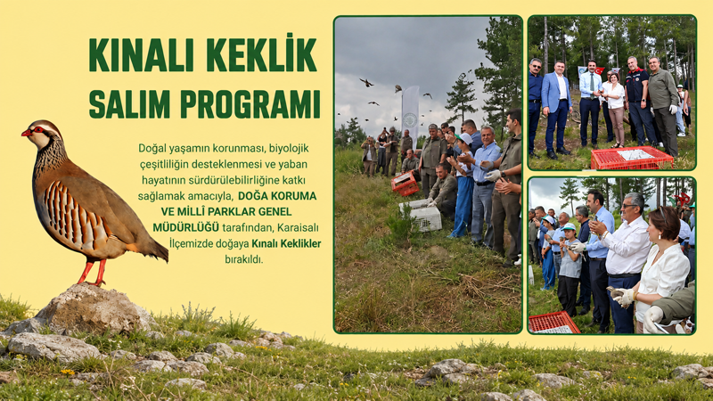 Karaisalı’da Kınalı Keklikler Doğayla Buluştu